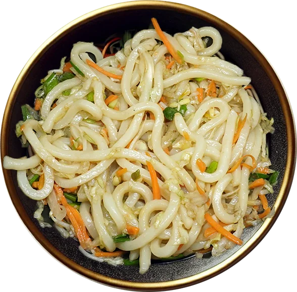 Vegan Fried Udon